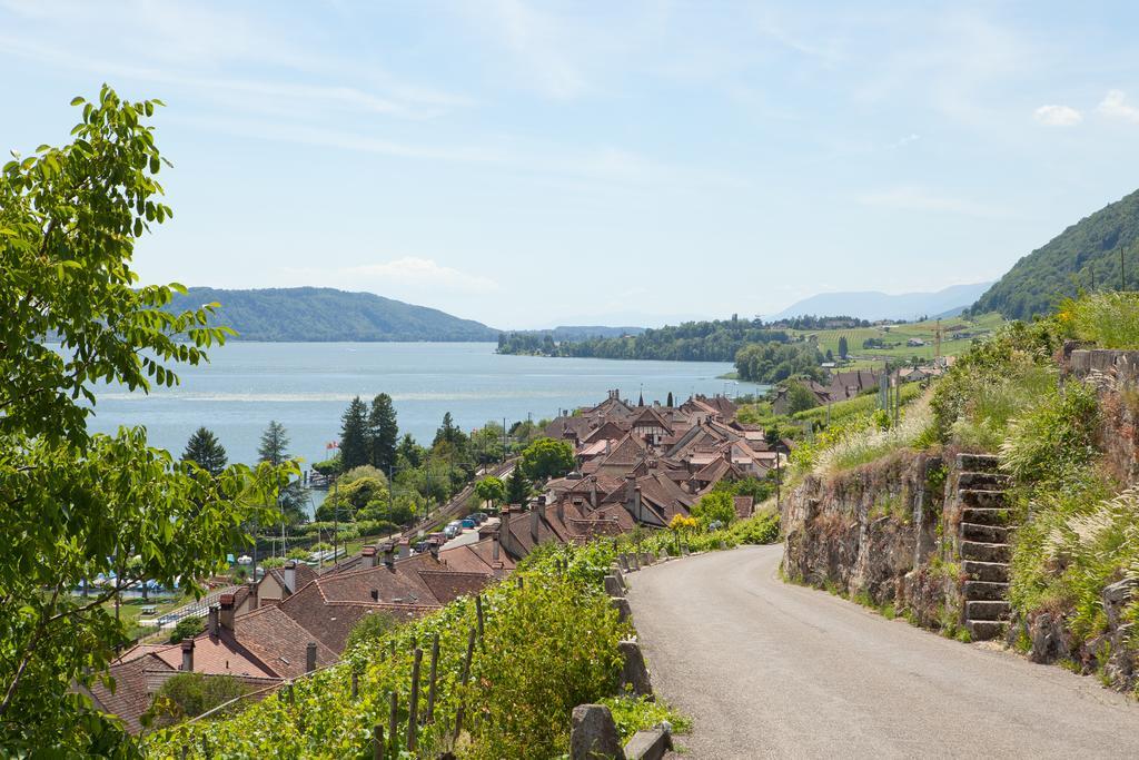 Alpes Et Lac La Neuveville Exterior foto